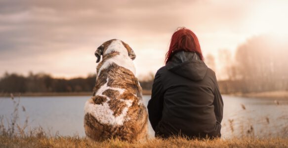 Die emotionale Bedeutung von Haustieren: Wie sie unser Wohlbefinden beeinflussen