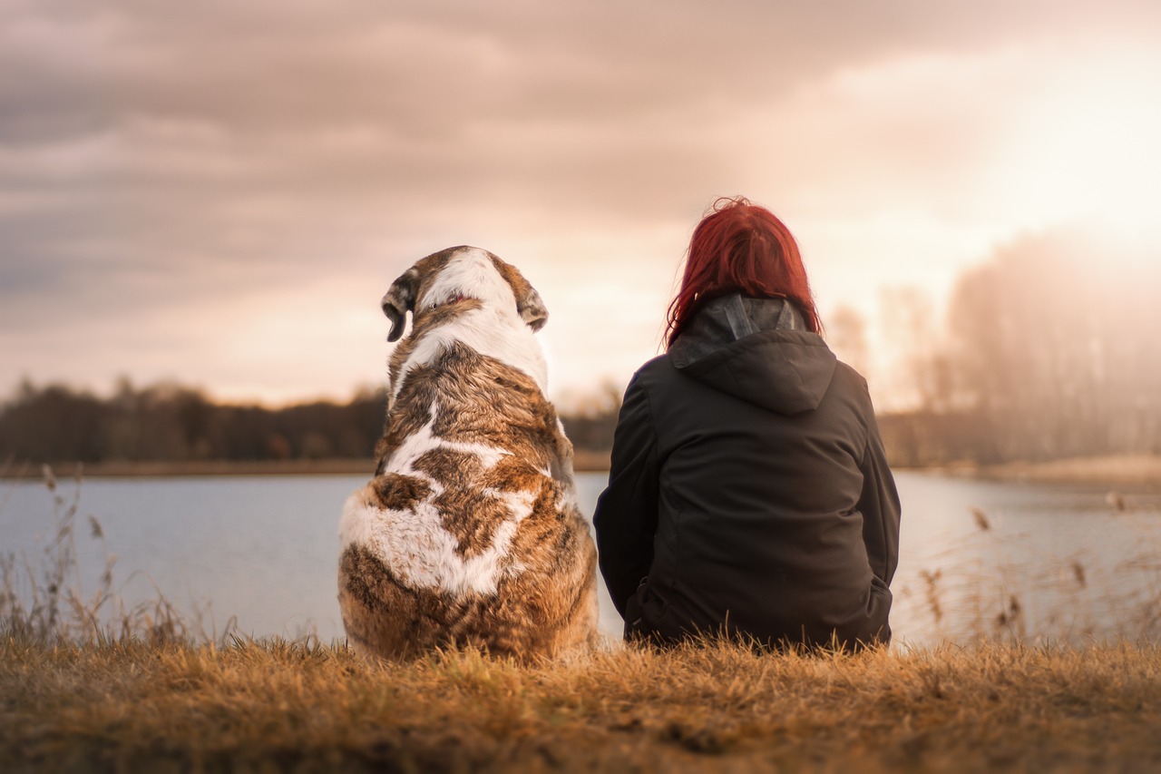 Die emotionale Bedeutung von Haustieren: Wie sie unser Wohlbefinden beeinflussen