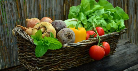 Vegetarisch vs. vegan – worin bestehen die Unterschiede?