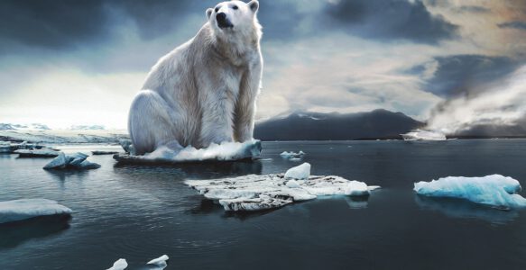 Weltklimakonferenz 2025 – Schutz der tropischen Regenwälder