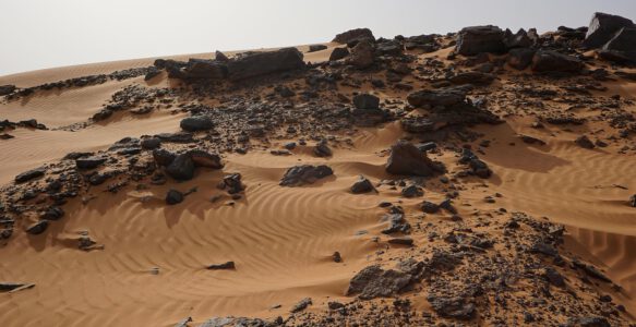 Krieg im Sudan: Eine humanitäre Katastrophe mit weltweiten Folgen