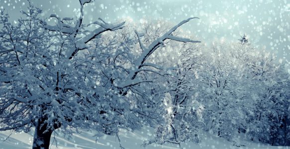 Schnee in Oldenburg – Das ist doch nicht viel!